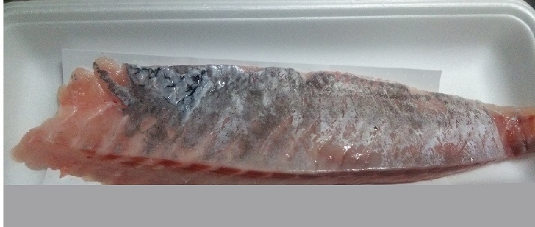 クロムツ 神津島 情報ガイド